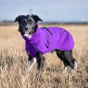 Lilac ProWarmer dog jacket winter