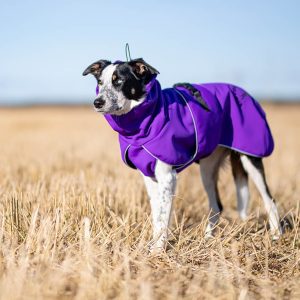 Lilac ProWarmer jacket JoyOfDogSports