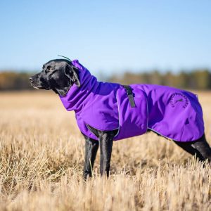 ProWarmer dog winter jacket lilac size 60 cm