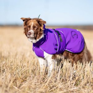 ProWarmer jacket 55 cm lilac dog winter coat