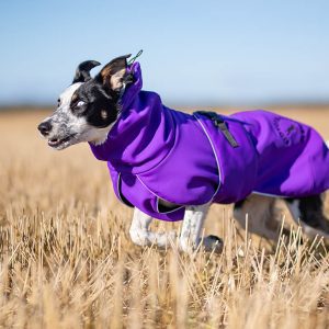 ProWarmer jacket 55 cm lilac dog winter coat Border Collie