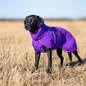 ProWarmer jacket 60 cm lilac dog winter jacket