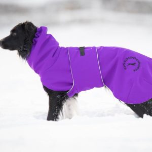 ProWarmer lilac Border Collie