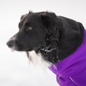 ProWarmer lilac collar down