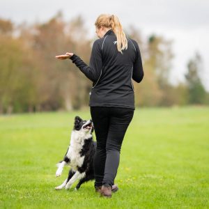 Stretchy and sporty dog training jacket