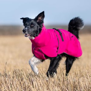 ProWarmer dog winter jacket pink size 55 cm Border Collie