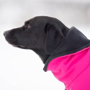 ProWarmer pink collar down