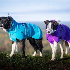 ProWarmer dog winter jacket lilac and blue