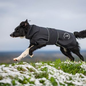 SportWarmer black-grey dog jacket bordercollie junior 55 cm