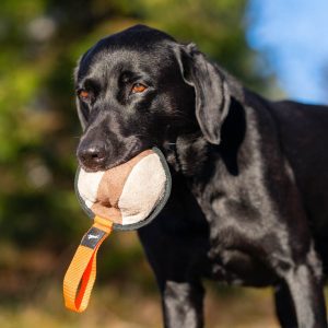 Sweetie XL ball and Labrador