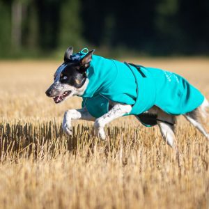 Aqua colour dog jacket SportWarmer