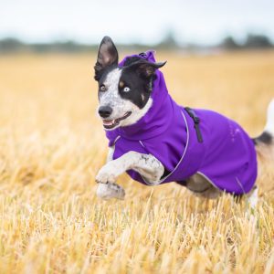 Dog rain jacket premium quality lilac SportWarmer