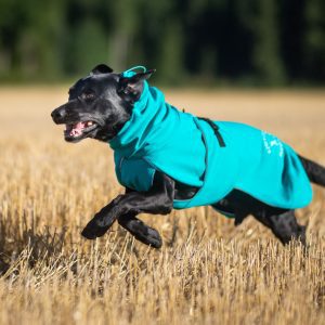 Labrador and Aqua SportWarmer dog jacket