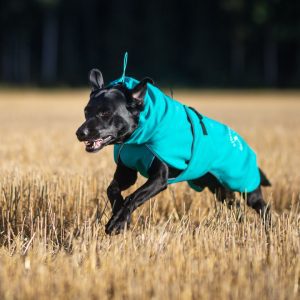 Labrador and Aqua SportWarmer dog jacket size 60 cm