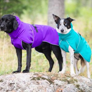 Labrador and Border Collie SportWarmer jackets