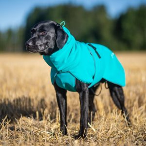 Labrador and size 60 cm SportWarmer jacket Aqua