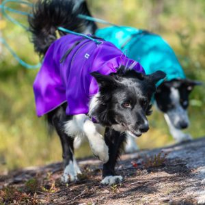 Light SportWarmer jacket