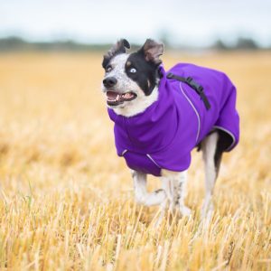 Premium rain jacket for dogs lilac SportWarmer