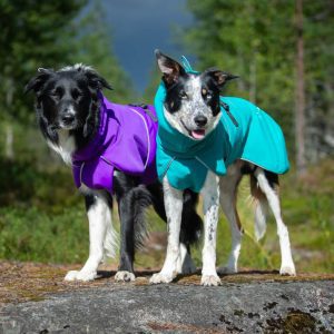Rain jacket for dogs lilac and aqua colour