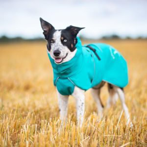 Size 55 cm dog jacket SportWarmer Aqua colour