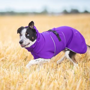 SportWarmer dog jacket handmade in Finland