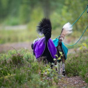 SportWarmer jacket and high tails