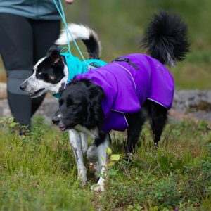 SportWarmer jacket for dogs