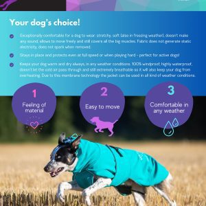 The jacket your dog would choose