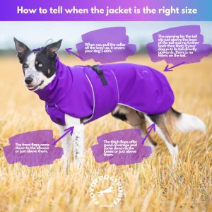 How to tell when the dog jacket is the right size