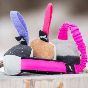 TeenyTiny set for small dogs